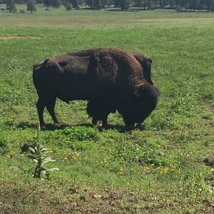 Meet your Posher, Bethany